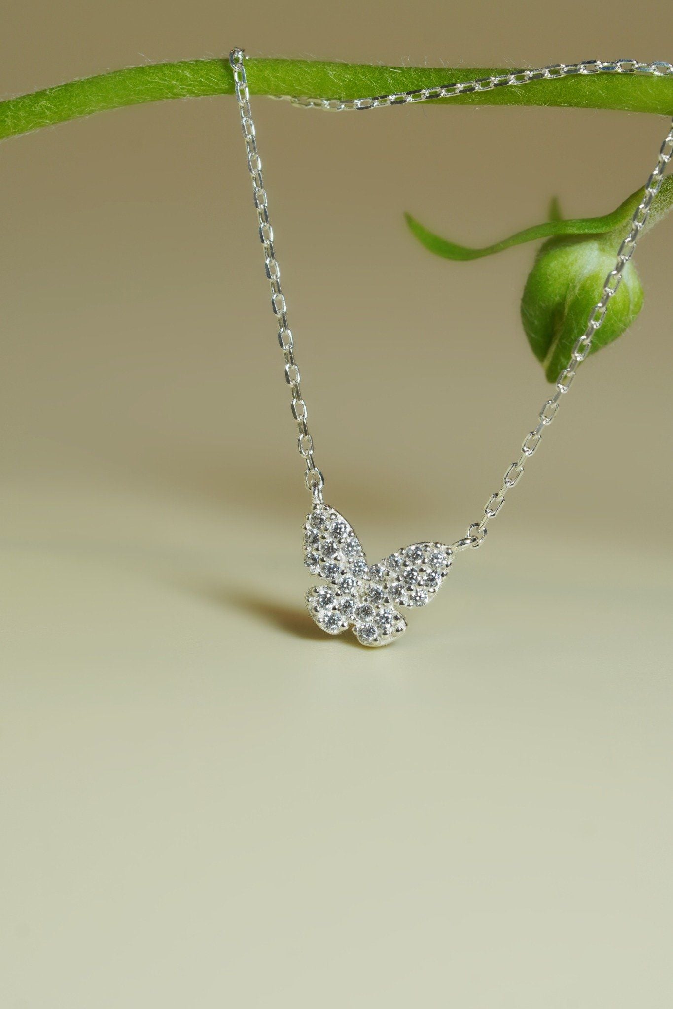 [ancafe-accessories] Dây chuyền NL390K-051-BAC