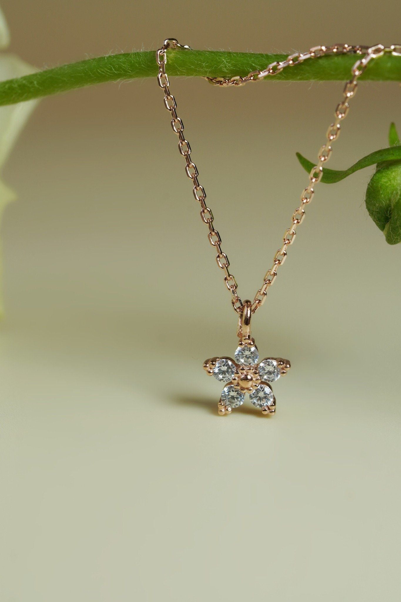 [ancafe-accessories] Dây chuyền NL420K-033-VH