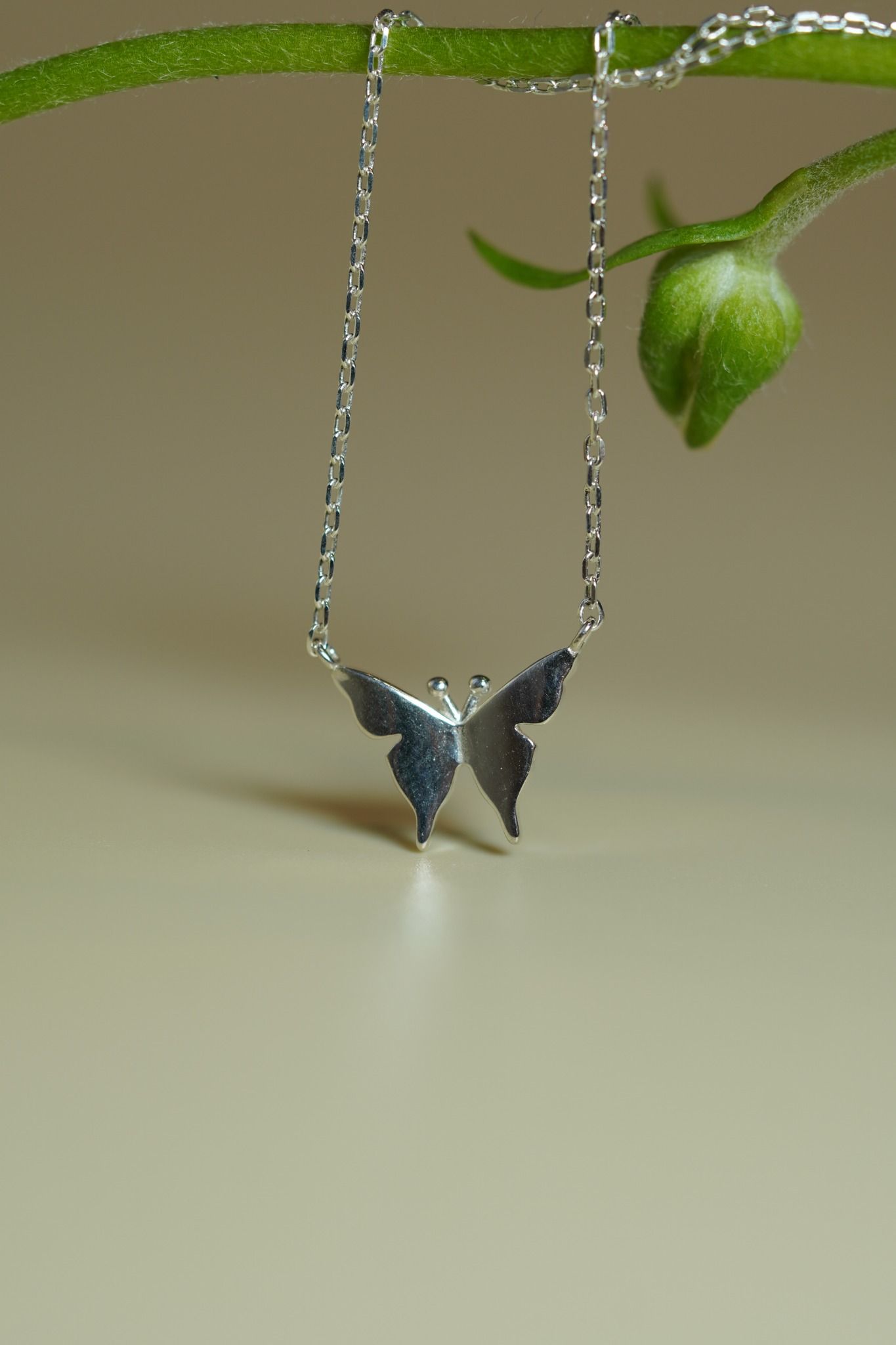 [ancafe-accessories] Dây chuyền NL450K-016-BAC