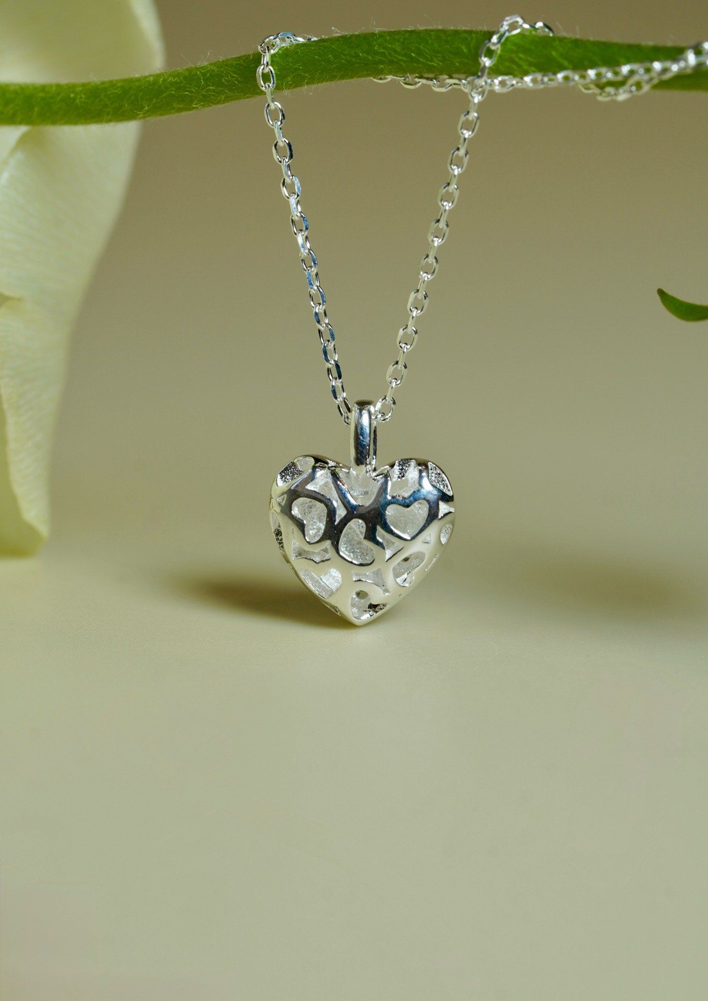 [ancafe-accessories] Dây chuyền NL450K-019-BAC