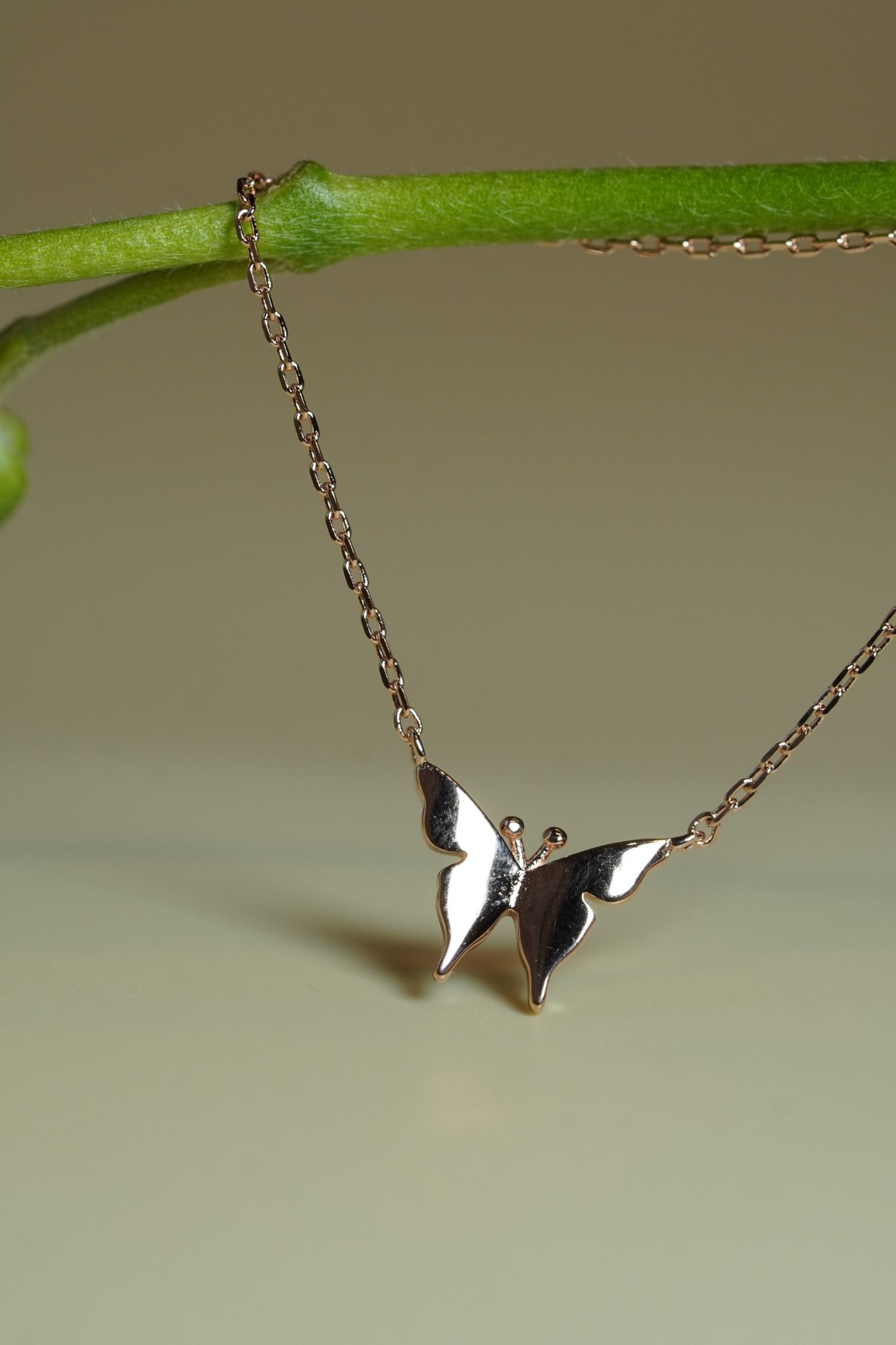 [ancafe-accessories] Dây chuyền NL490K-003-VH