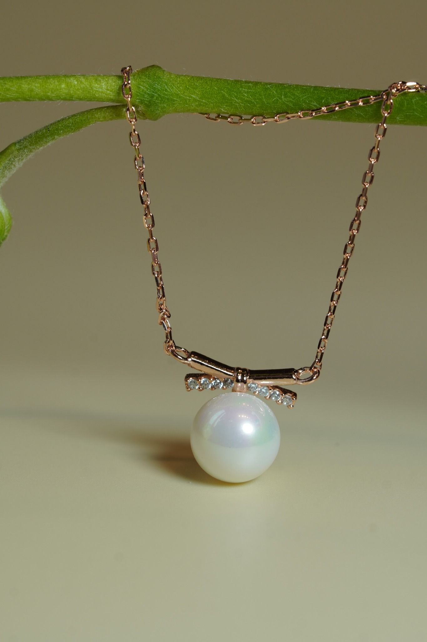 [ancafe-accessories] Dây chuyền NL550K-001-VH