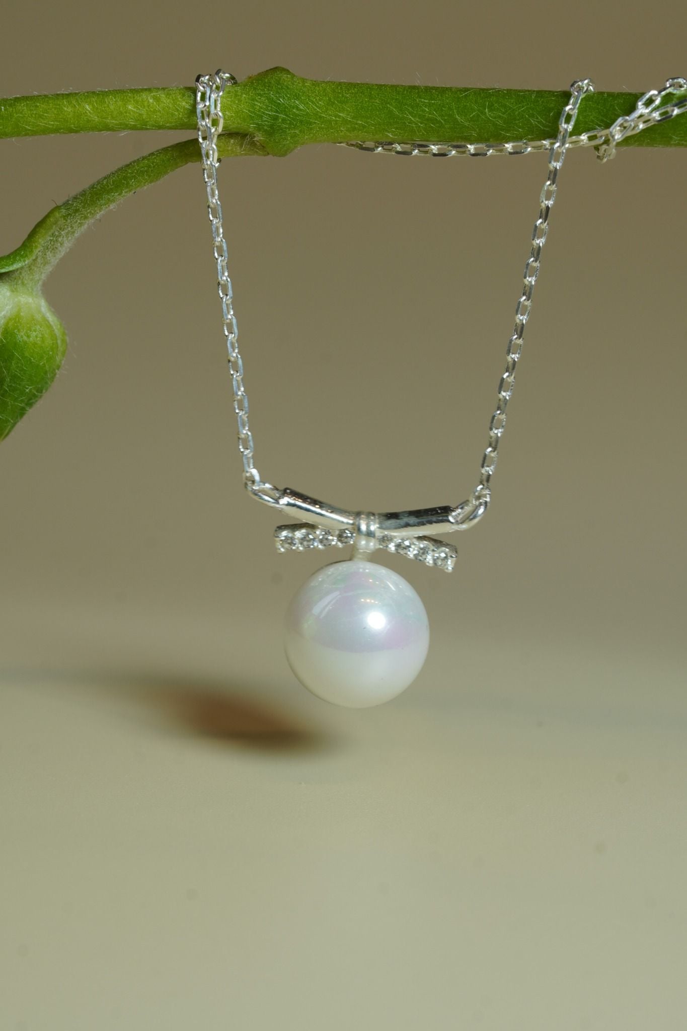 [ancafe-accessories] Dây chuyền NL550K-001-BAC