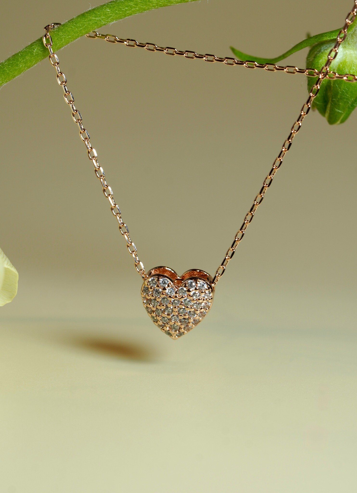 [ancafe-accessories] Dây chuyền NL550K-003-VH