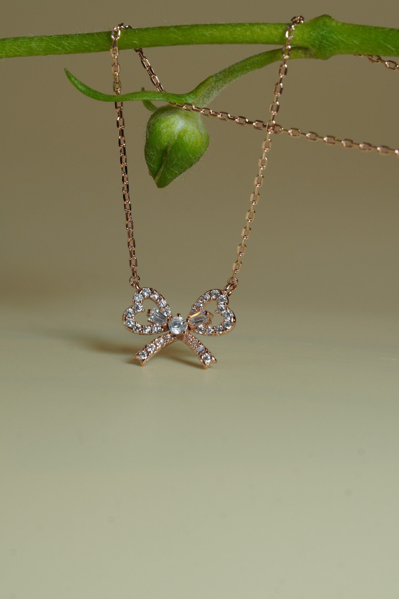 [ancafe-accessories] Dây chuyền NL550K-004-VH