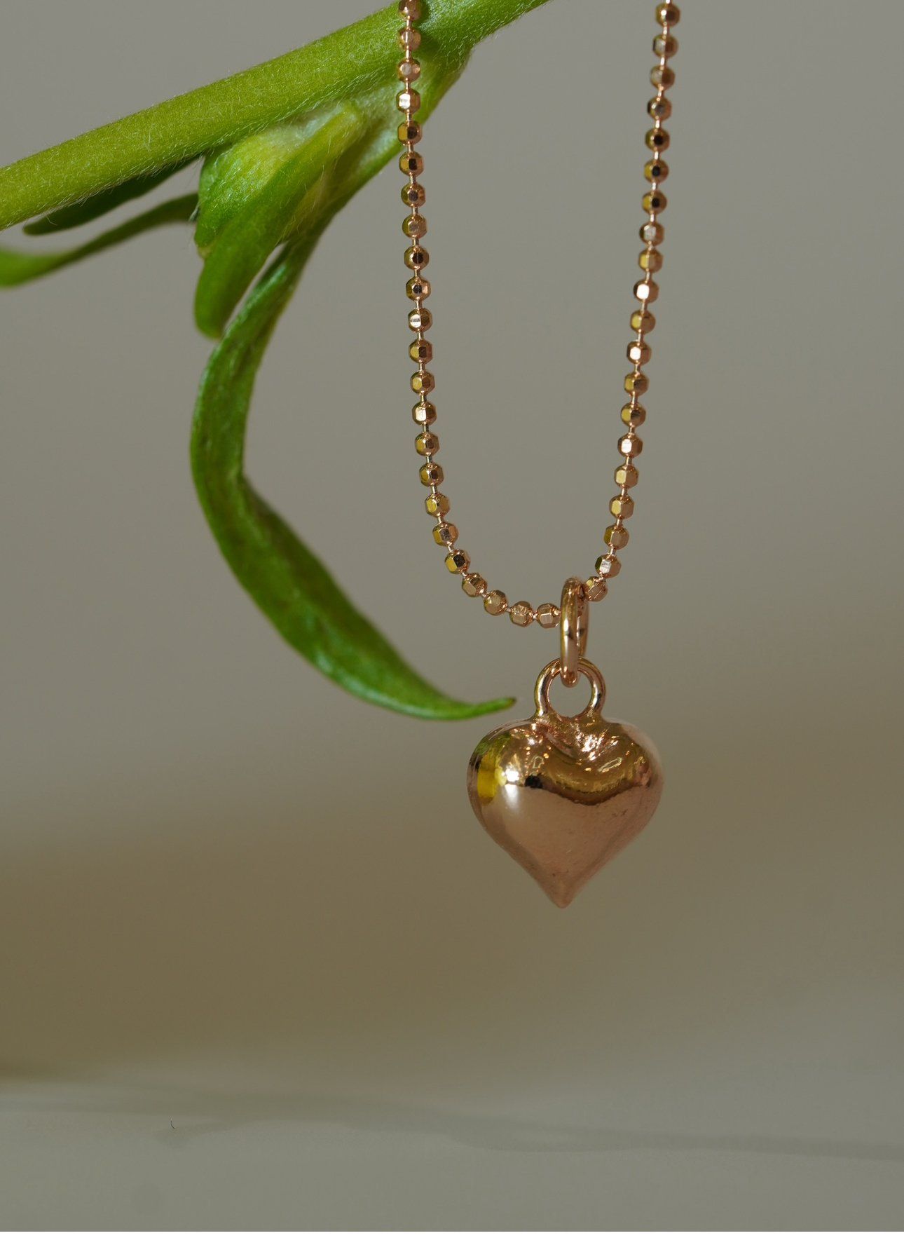 [ancafe-accessories] Dây chuyền NL650K-004-VH