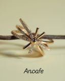 [ancafe-accessories] Nhẫn R250K-225-12-VH