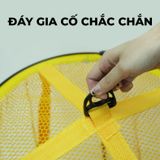  Rọng Cá GUF Vàng Kim R02 