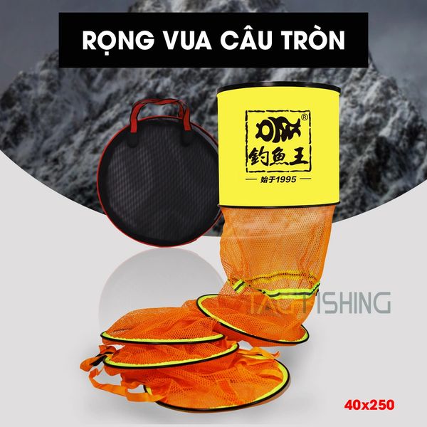  Rọng Cá Vua Câu Tròn 40x250 (Vàng) 