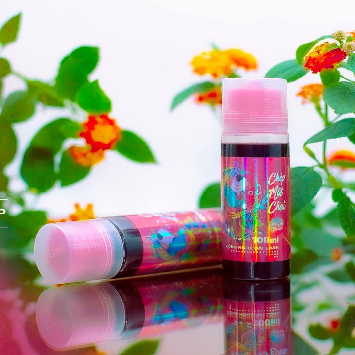  Sapham - Chép 1 chai 