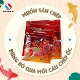  Sapham - Mồi Câu Chép Ốc 