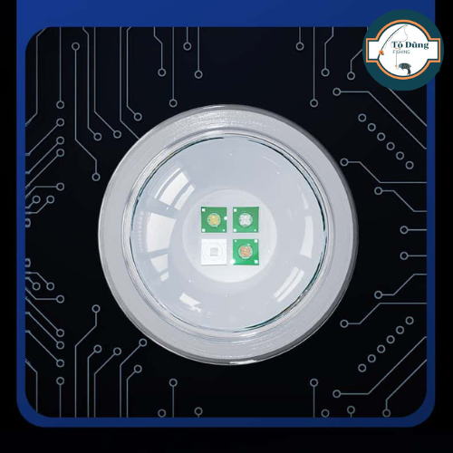  Đèn Soi Ổ Lianqiu LQ 901 (4 màu) 