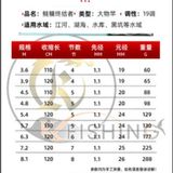  Độc Hỏa Tinh Không Lượng 