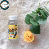  NTN Đài Loan - Nước Khóm (Dứa) 30g 