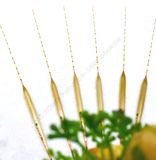  Phao Phi Yến Cỏ Rô A15 