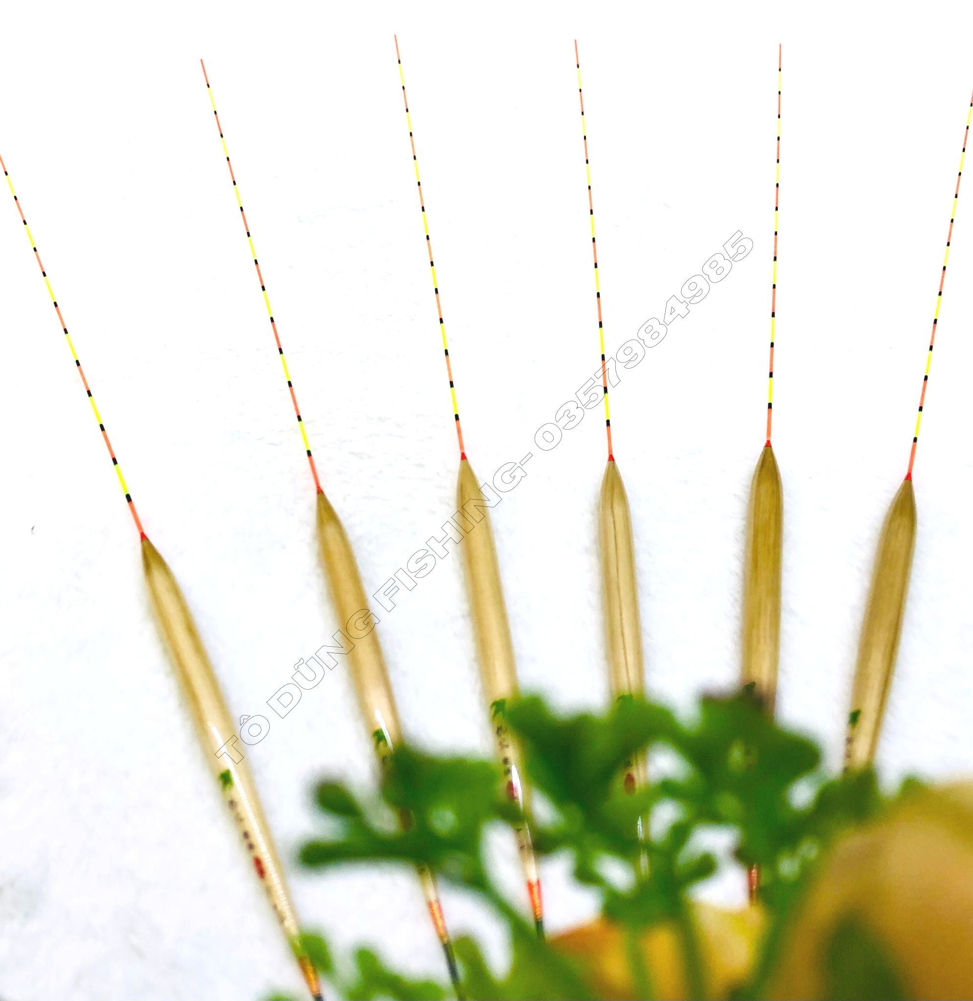  Phao Phi Yến Cỏ Rô A15 