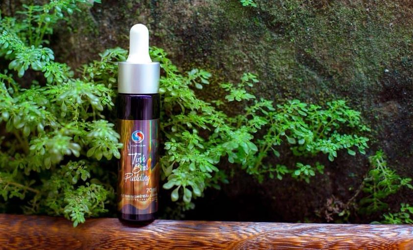  Sapham - Tinh chất sữa Pudding 