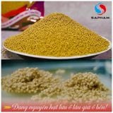  Sapham - Mồi Câu Chép Hạt 