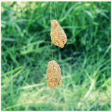  Mồi Câu Lão Quỷ - Chép Thần Số 1 ( Tanh ) 