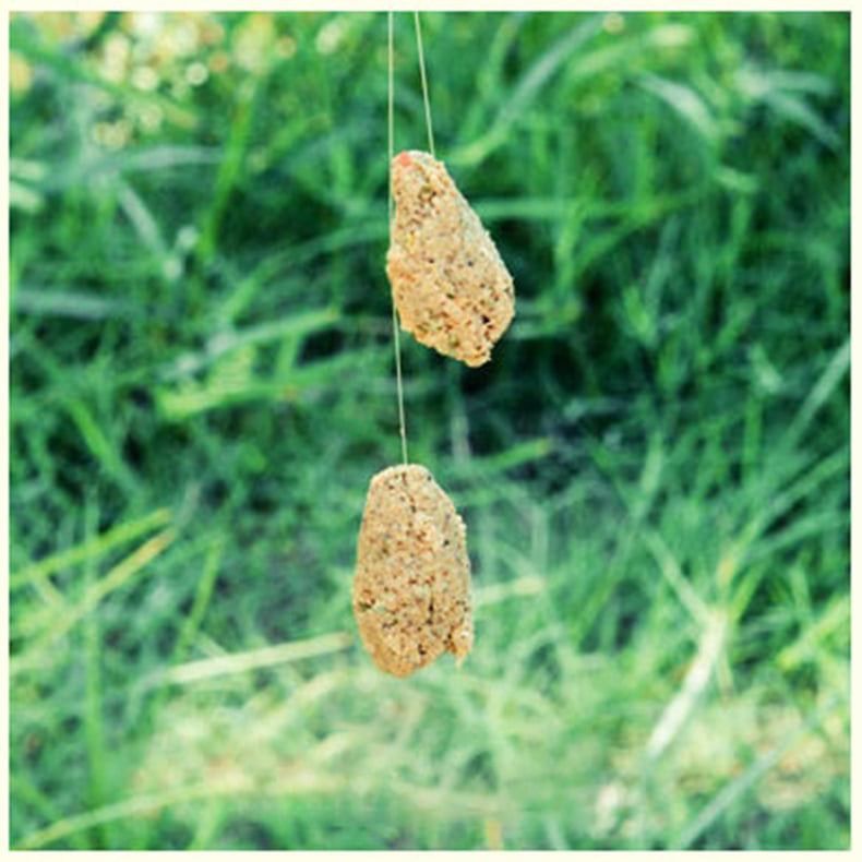  Mồi Câu Lão Quỷ - Chép Thần Số 1 ( Tanh ) 