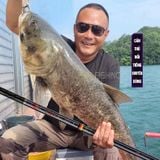  Cần Tay Guide Thánh Hỏa Lệnh Đời V ( 5H ) 