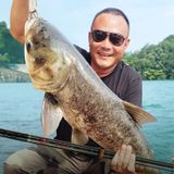  Cần Tay Guide Thánh Hỏa Lệnh Đời V ( 4H ) 