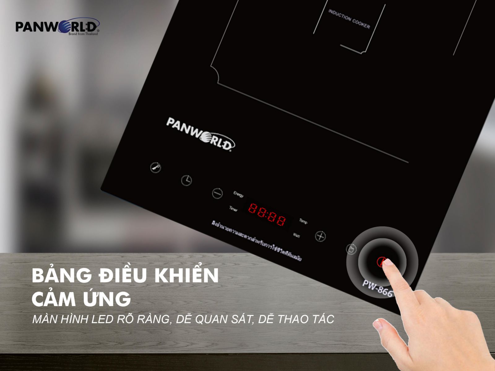 Bếp Điện Từ Panworld PW-866