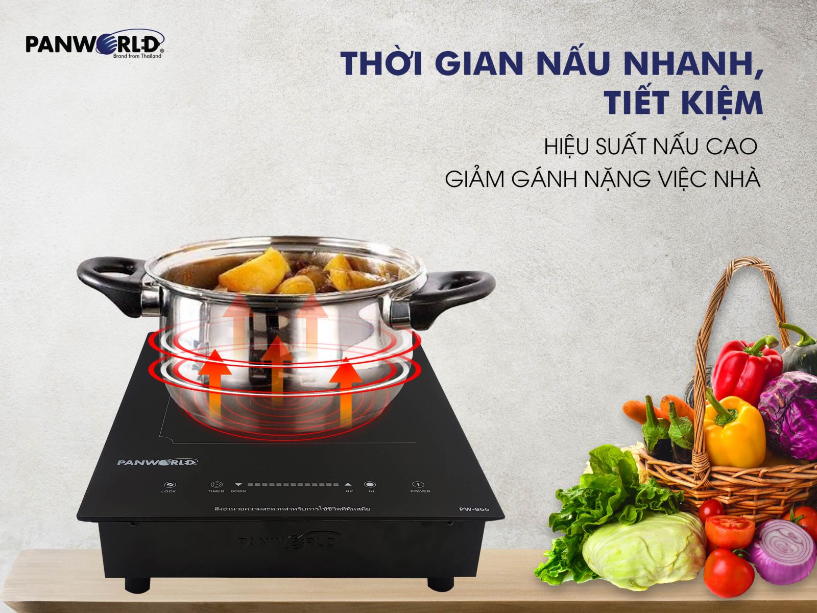 Bếp Điện Từ Panworld PW-866