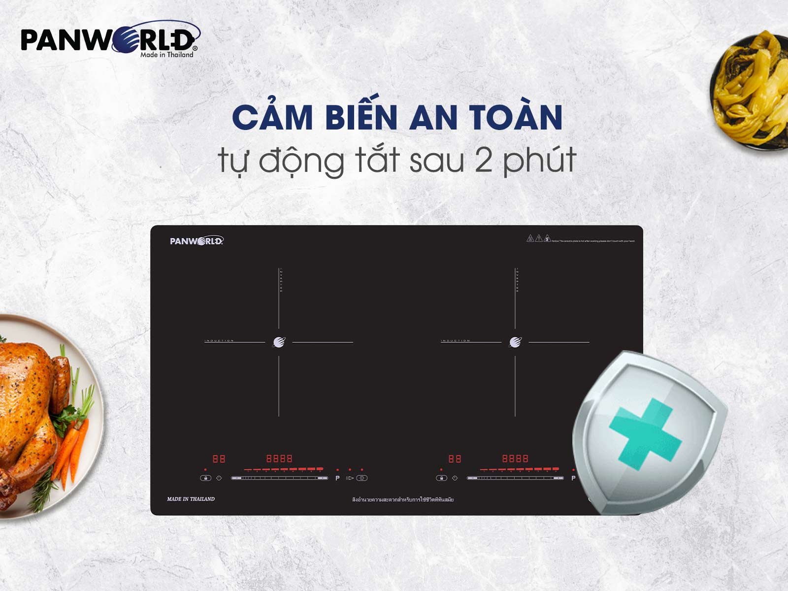 BẾP ĐÔI ĐIỆN TỪ PANWORLD PW-1981