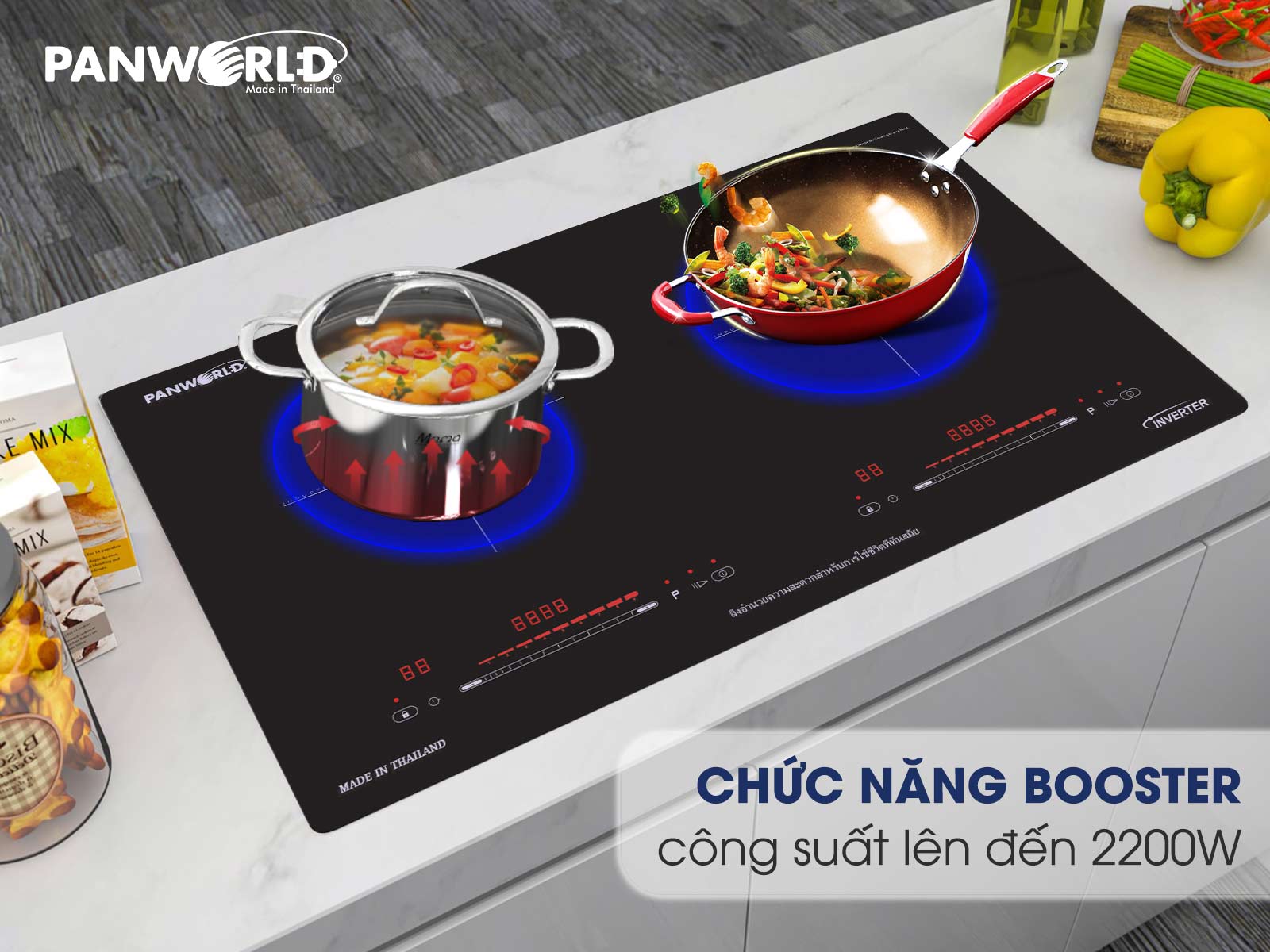 BẾP ĐÔI ĐIỆN TỪ PANWORLD PW-1981