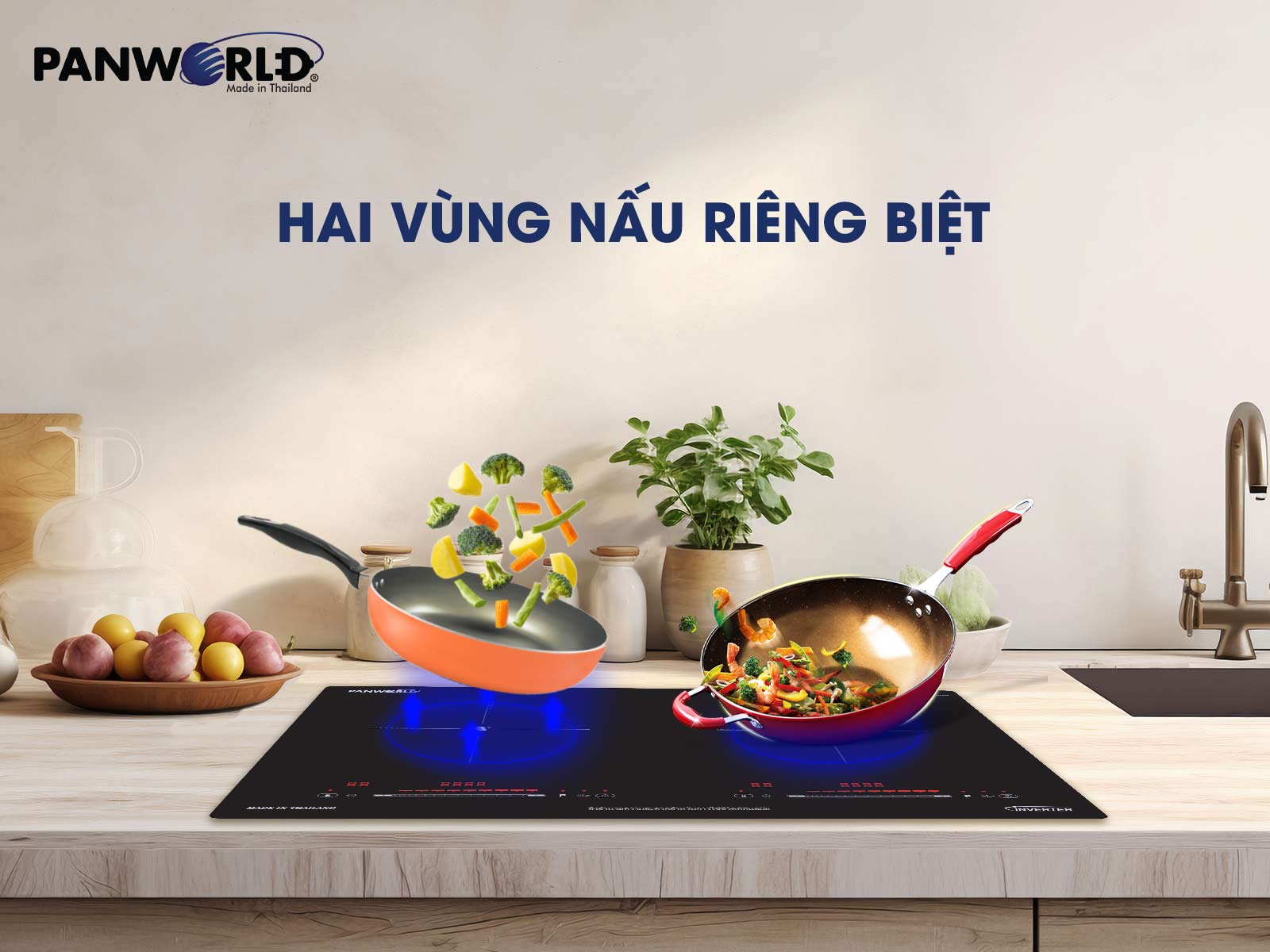 BẾP ĐÔI ĐIỆN TỪ PANWORLD PW-1981