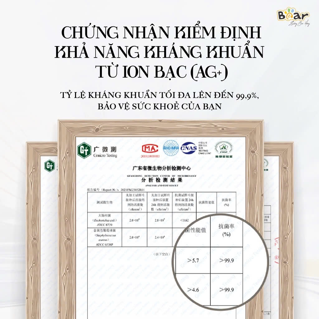 Bộ đũa ăn cao cấp kháng khuẩn Bear CX- E0102