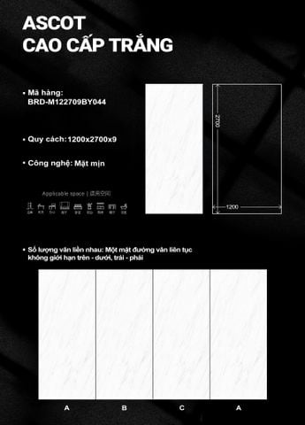  Ascot Cao Cấp Trắng (mặt mịn) 