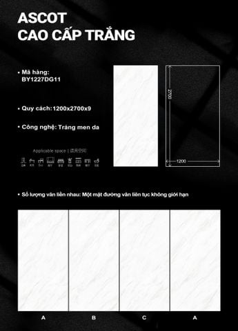  Ascot Cao Cấp Trắng (tráng men da) 