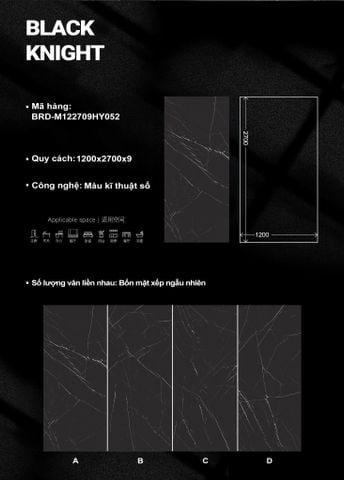  Black Knight (mẫu 1) 