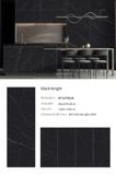  Black Knight 