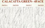  Calacatta Green 