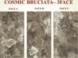  Comic - Terre Bruciata 