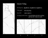  Glacier Trắng 