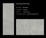  Hennessy Xám nhạt 