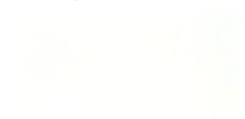  Đá quartz DFV - IVORY WHITE DR1195 