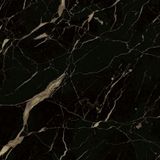  LAURENT BLACK AND GOLD 