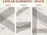  Linear Hamony 