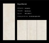  Maya màu bơ 