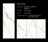  Milan Trắng (mẫu 1) 