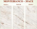  Monte Bianco 