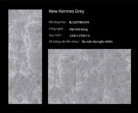  New Hermes Grey 