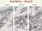  Pacista 