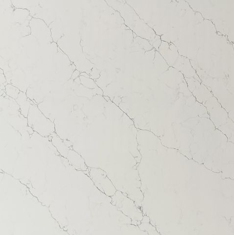  DFV-DE-DP168 Tuna White 