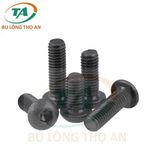 DIN 7380 Bu lông lục giác chìm đầu cầu đen